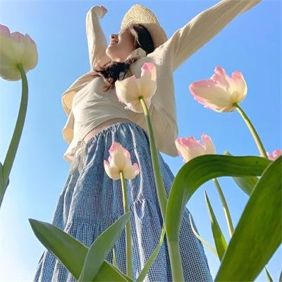 海岛七号